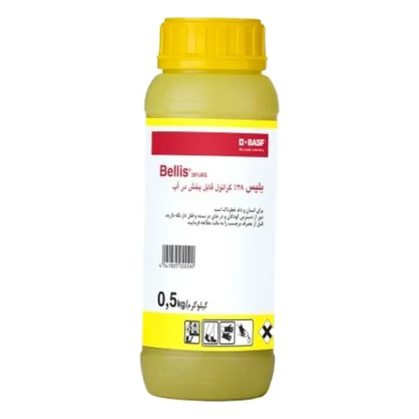 بلیس Bellis WG 38%