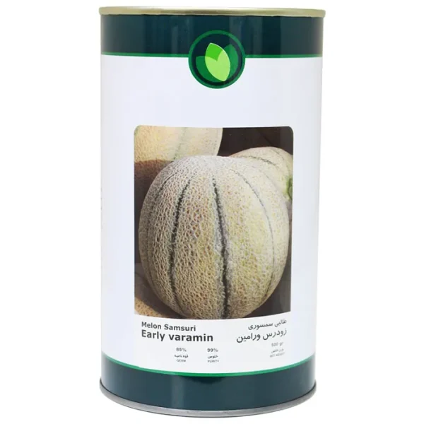 بذر طالبی ورامین