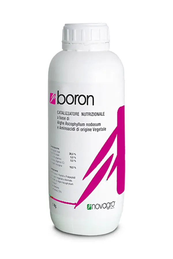 boron-new کود بر نواگرو | BORON