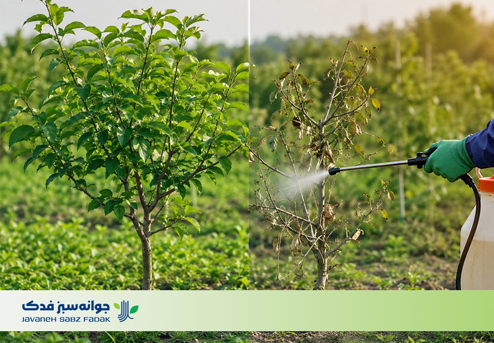 آشنایی با ضرر سم علف کش برای درخت