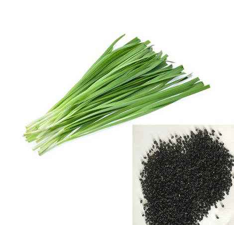 بذر سبزی تره