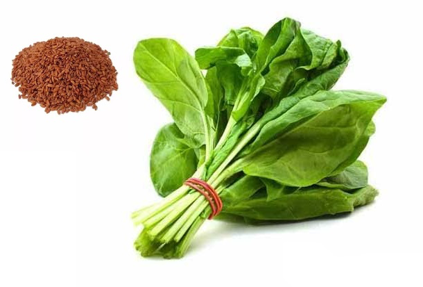 بذر سبزی شاهی