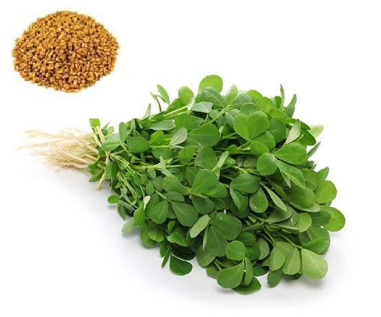 بذر سبزی شنبلیله